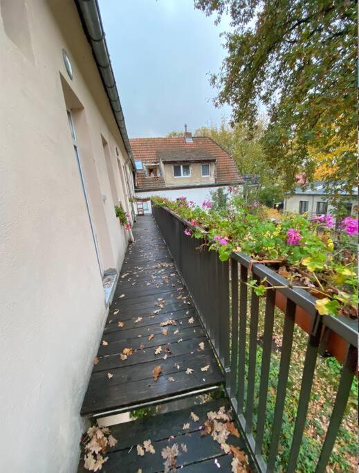 And Comfortable In Pankow Appartamento Berlino