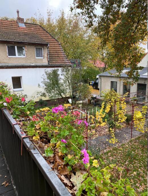 Appartamento And Comfortable In Pankow